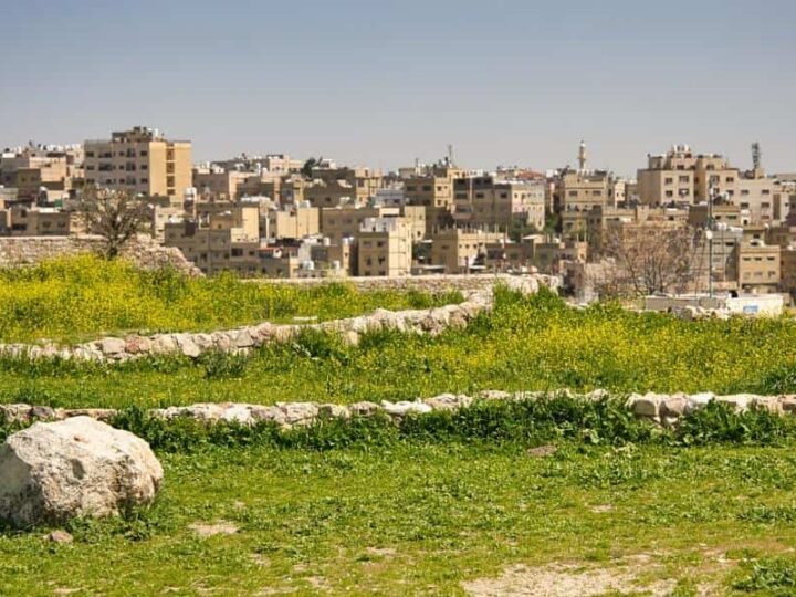 Ogródki społeczne a bioróżnorodność: Jak lokalne inicjatywy wspierają ekosystemy