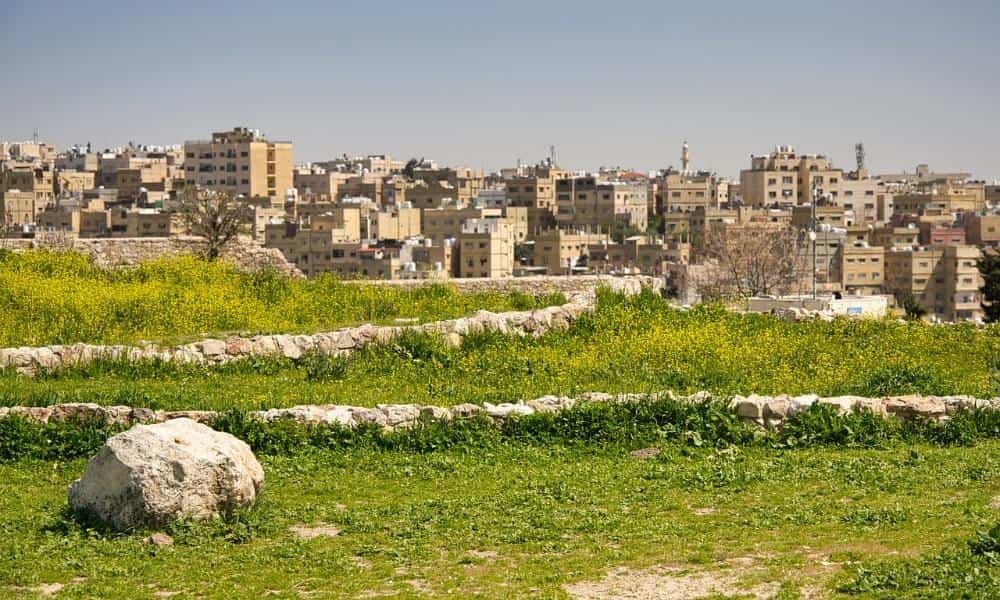 Ogródki społeczne a bioróżnorodność: Jak lokalne inicjatywy wspierają ekosystemy