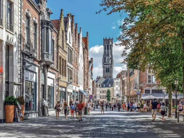 Jak zabudowa miejska wpływa na ptaki? Odkryj nieoczywiste skutki urbanizacji dla ptasich mieszkańców