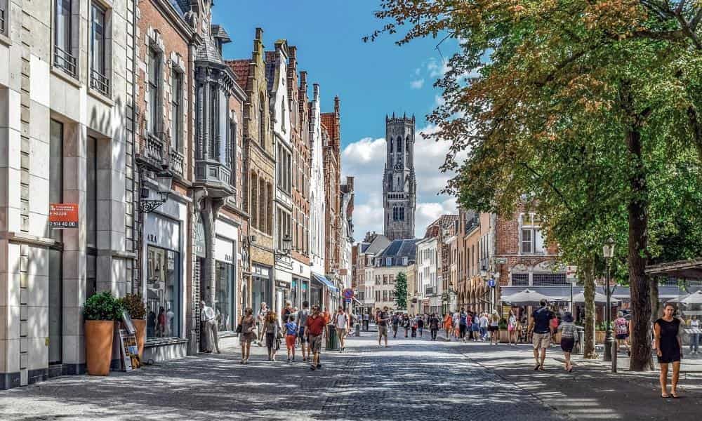 Jak zabudowa miejska wpływa na ptaki? Odkryj nieoczywiste skutki urbanizacji dla ptasich mieszkańców