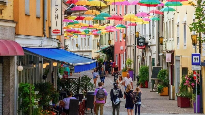 Gatunki chronione w miastach – dlaczego warto o nie dbać?