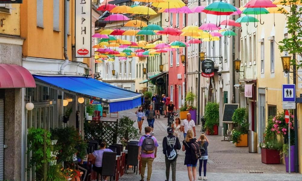 Gatunki chronione w miastach – dlaczego warto o nie dbać?