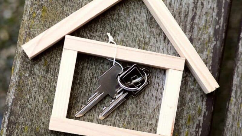 Jak zabezpieczyć balkon przed upadkiem zwierząt?