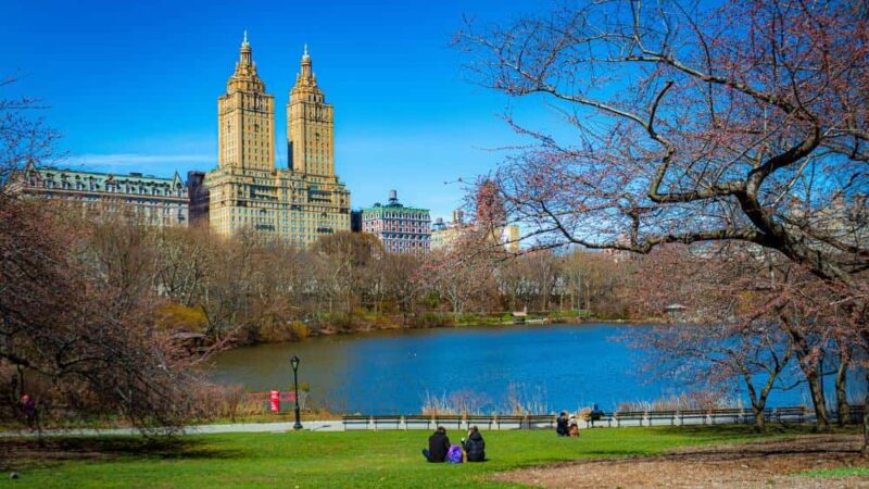 Jak parki miejskie wpływają na ekosystemy: badania i korzyści dla ludzi i natury