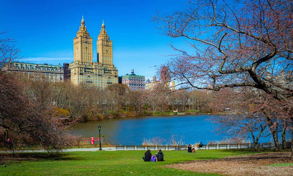 Jak parki miejskie wpływają na ekosystemy: badania i korzyści dla ludzi i natury